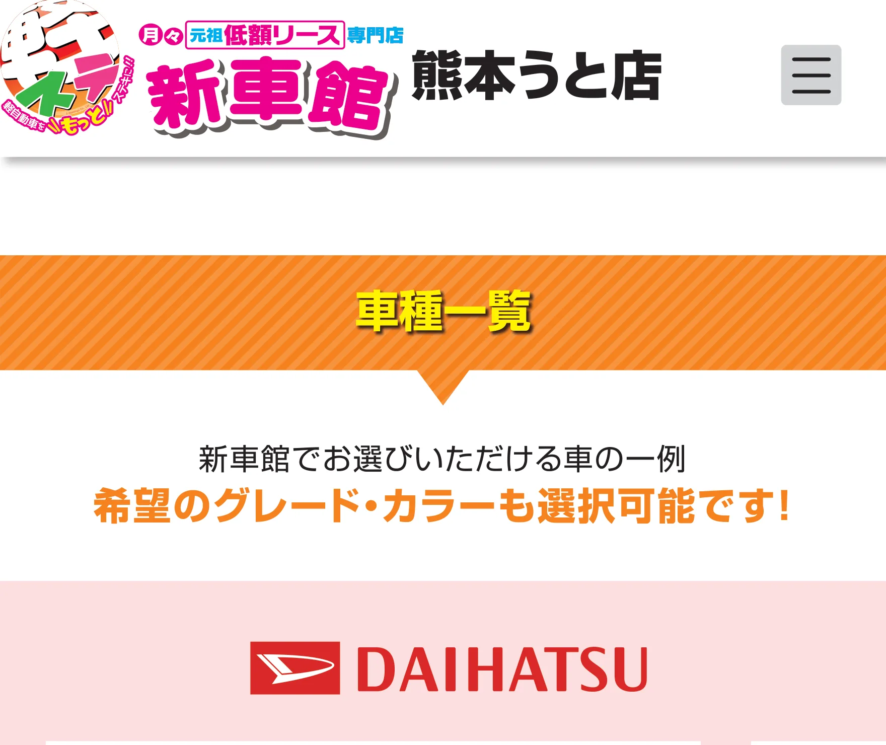 LP画像セクション 1