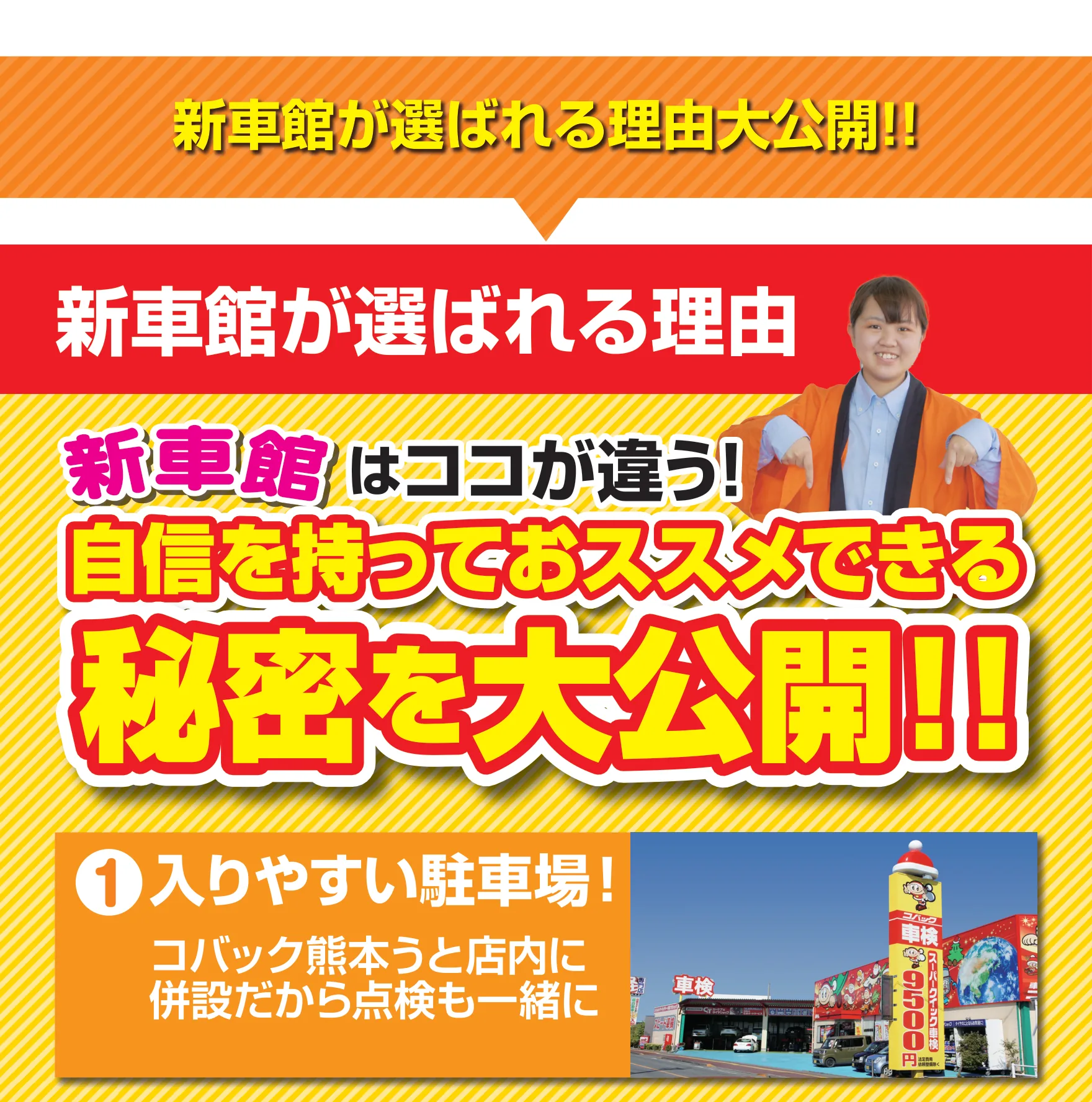 LP画像セクション 11
