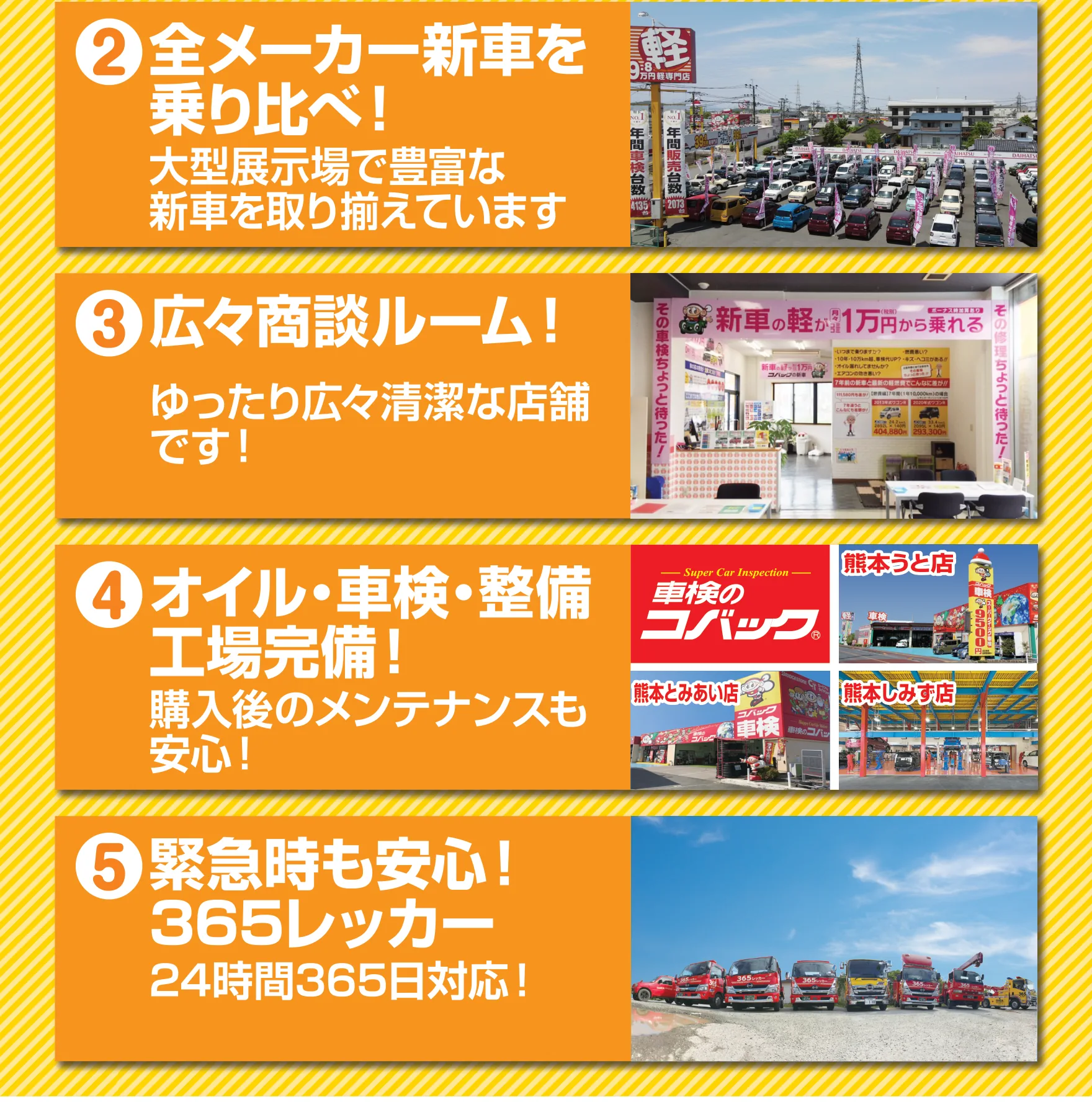 LP画像セクション 12